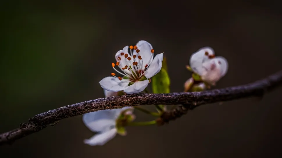 Horoscop 1 aprilie 2024. Vești uriașe pentru o zodie, iar un nativ din zodiac va interacționa cu o fostă iubire: la ce să se aștepte/ unsplash.com