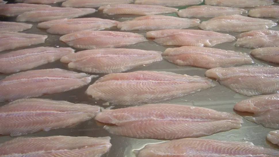 Pangasius