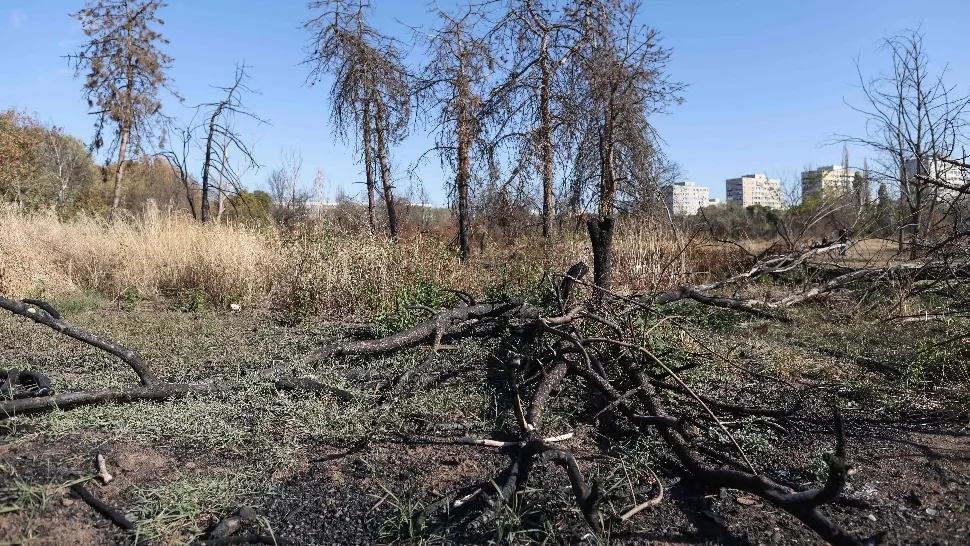 Zona retrocedată din Parcul IOR se degradează pe zi ce trece. Cum ar putea schimba situația o hotărâre de Consiliu adoptată la propunerea PNL Sector 3 și ce spun oamenii