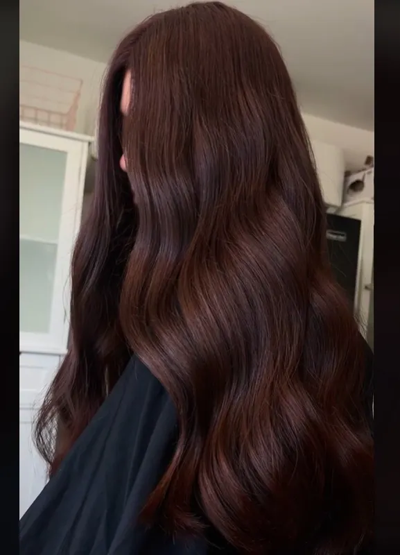 Culoarea de păr cu care vei da lovitura vara asta! Este de așteptată să fie mai populară decât balayage-ul / Captură TikTok/ hairbyalisharose