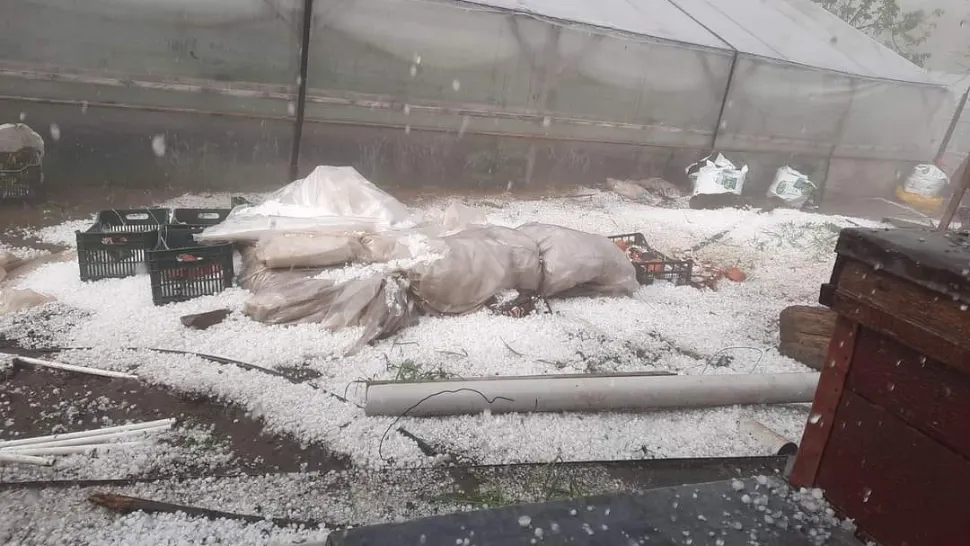 Grindina cât mingea de ping pong a făcut prăpăd în gospodării. Foto/Meteoplus