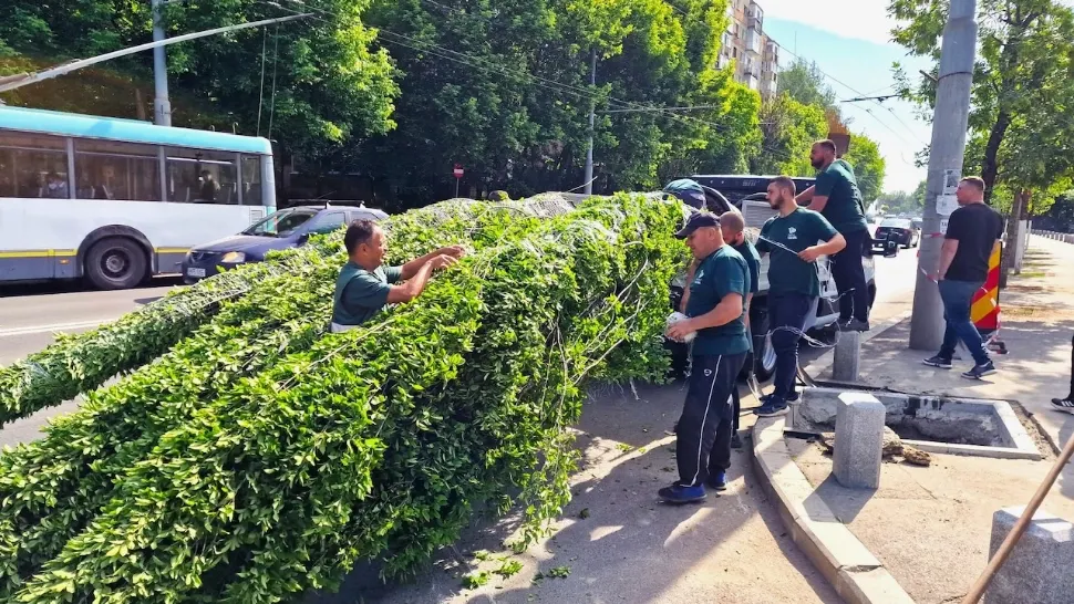 Sectorul 4 se ”împădurește” - FOTO