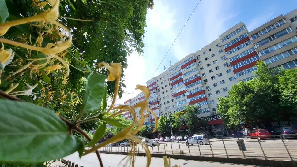 Gardurile verzi din sectorul 4 s-au transformat în adevărate grădini pe verticală - FOTO