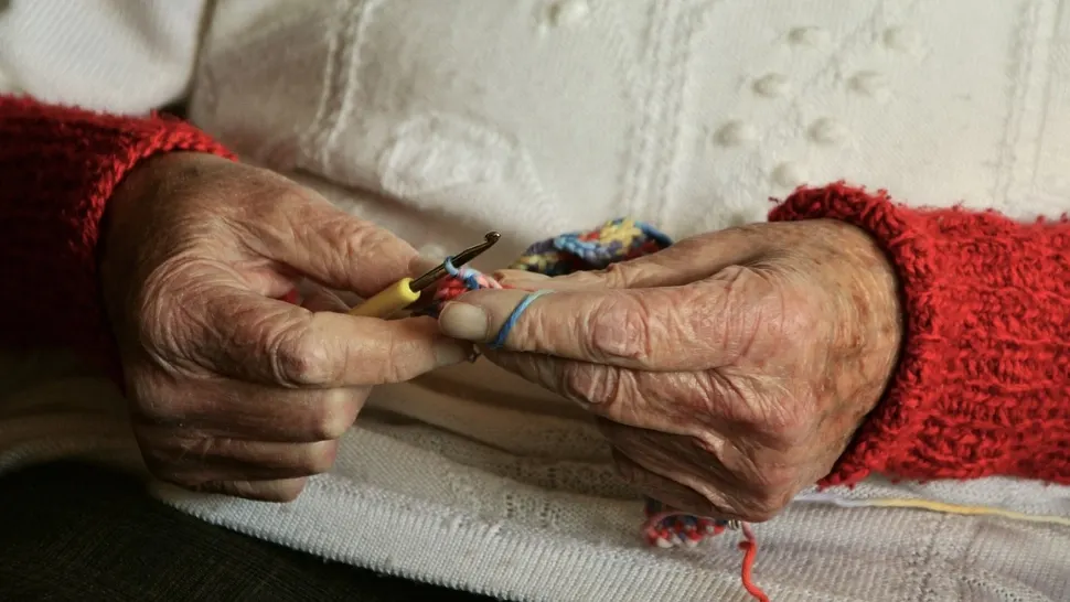 O femeie din Suceava a încercat să obțină pensionarea cu o adeverință falsă. Ce pedeapsă riscă acum