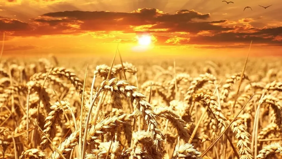 România, afectată de un BLOCAJ atmosferic: o lună în plus de vară cu temperaturi resimțite de peste 50 de grade!