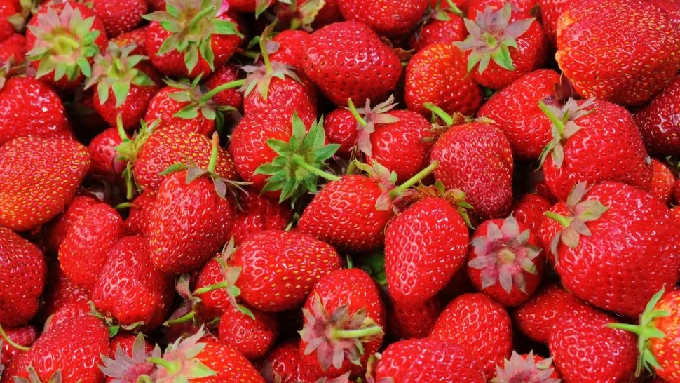 Cum recunoști căpșunile românești, naturale. Detaliul care îți arată că sunt stropite cu otravă de import
