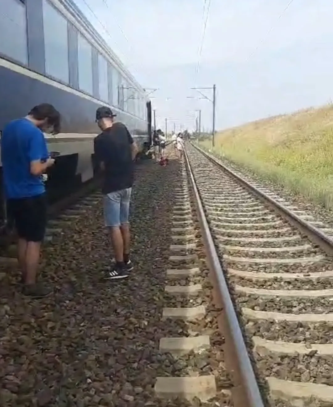 Un tren de marfă şi unul de călători au intrat pe aceeaşi linie! Circulaţie feroviară oprită temporar
