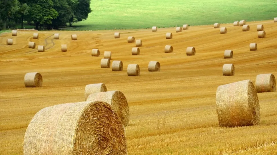 Agricultura