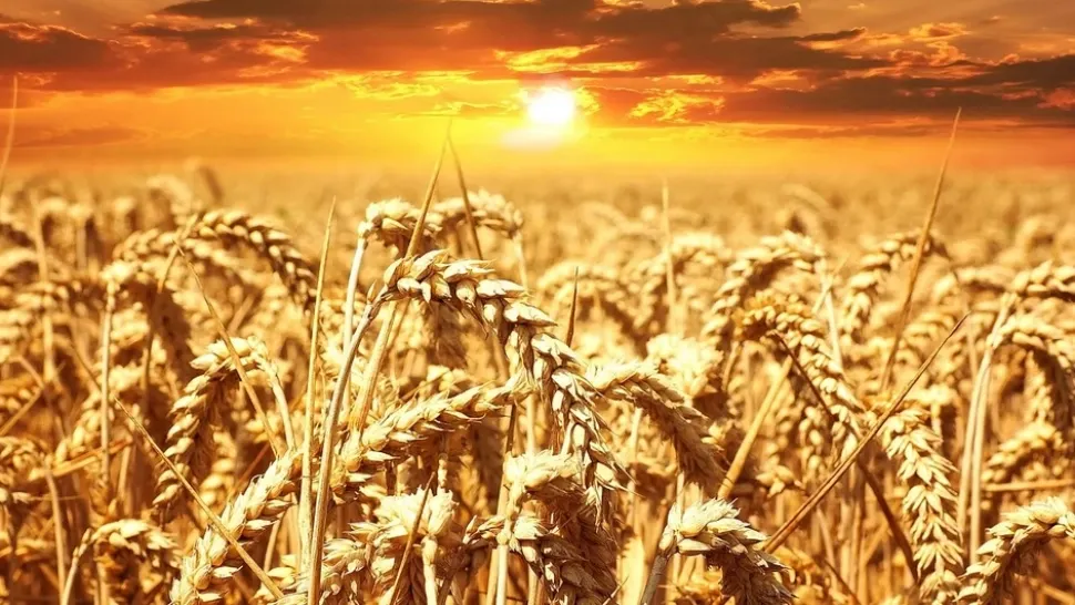 Cod portocaliu de caniculă: temperaturile sar la 40 de grade, la umbră!