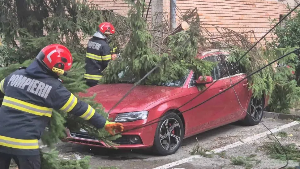 Grindină de mari dimensiuni și copaci doborâți de vânt, la Alba Iulia. A fost cod portocaliu