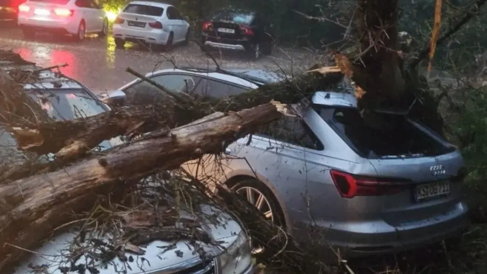 Furtuna a făcut ravagii la Iași! Imagini de coșmar cu mașini distruse de copacii doborâți de vânt. Ieşenii sunt revoltaţi că avertizare nowcasting a venit după ce a început urgia - FOTO/VIDEO