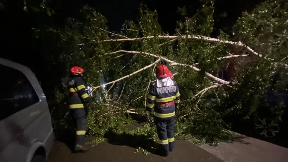Zeci de copaci au căzut sau au fost afectați, la fel și acoperișuri ale unor clădiri (foto arhivă)