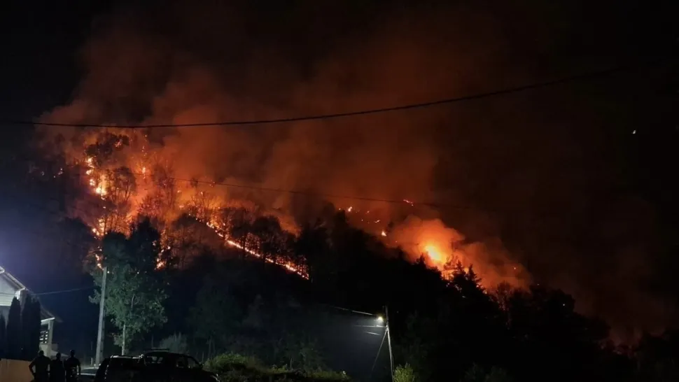 Incendiu devastator în Vâlcea: 20 de hectare de pădure mistuite de flăcări în urma unei petreceri neglijente