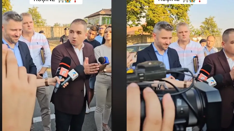 Sfidarea prefectului de Timiș: Oficialul râde în timp ce fermierii disperați se plâng că le-au murit mii de oi