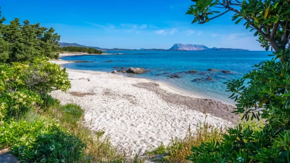 Regatul din Europa unde unde regele umblă în sandale și te servește la masă