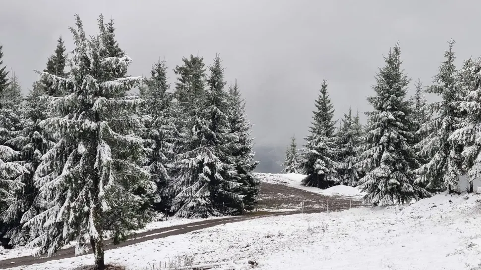 România, traversată de un val de aer polar: temperaturile scad chiar și cu 10 grade. Meteorologii anunță unde lovesc ninsorile