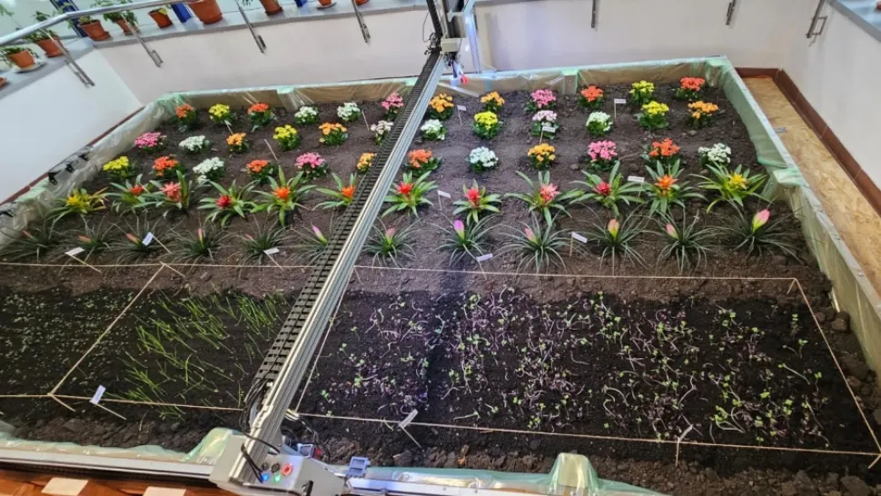 ASE vrea să dea lovitura cu un laborator de agricultură urbană digitală. 