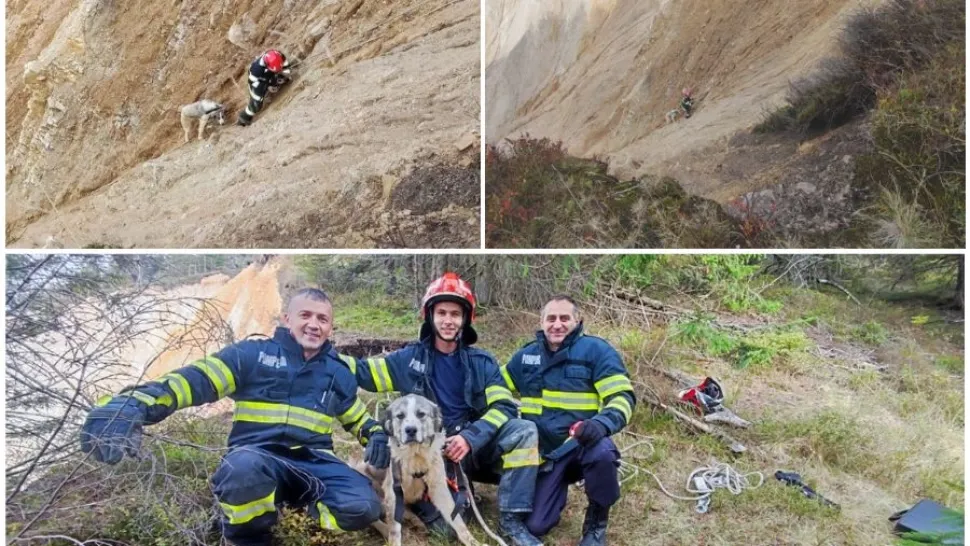 Operațiune spectaculoasă a pompierilor bihoreni, pentru salvarea unui câine - FOTO/VIDEO