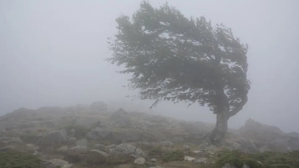 Prognoza meteo 27 noiembrie. Avertizări COD GALBEN de vreme severă în zeci de localități