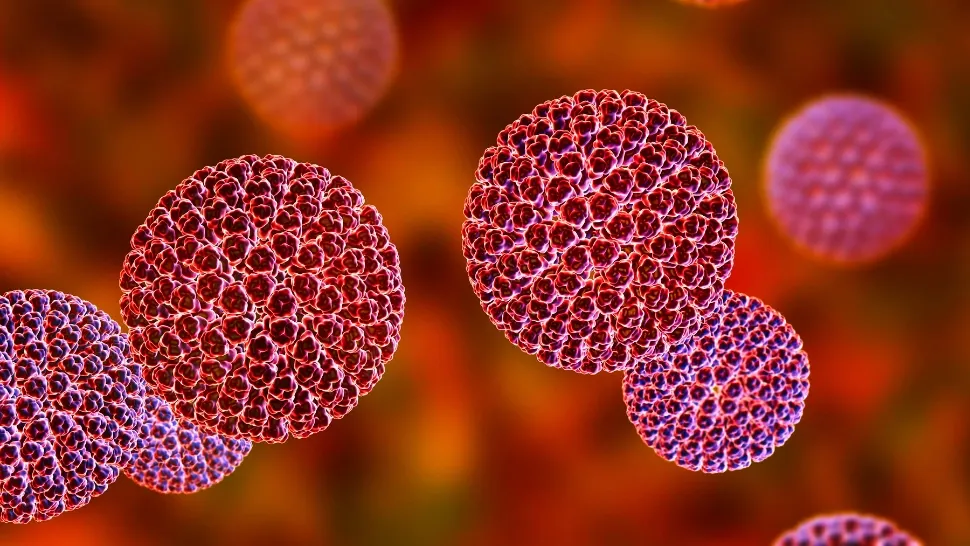 Focar de norovirus într-o școală din Brașov! De la ce s-au infectat copiii/ Profimedia