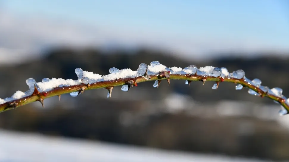 Cum va fi vremea în decembrie. ANM a actualizat estimările: prognoza meteo pentru următoarele 4 săptămâni/ Profimedia