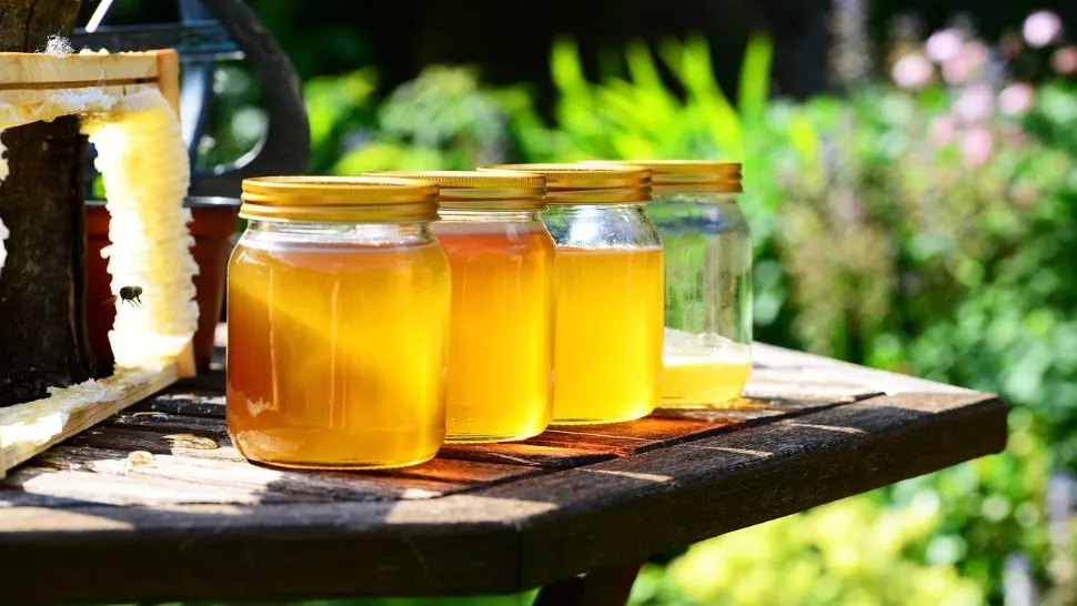 Este sau nu mierea de albine un aliment de post. FOTO: Pixabay