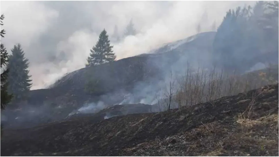 Incendiu de proporții în Neamț. FOTO: ISU Neamț