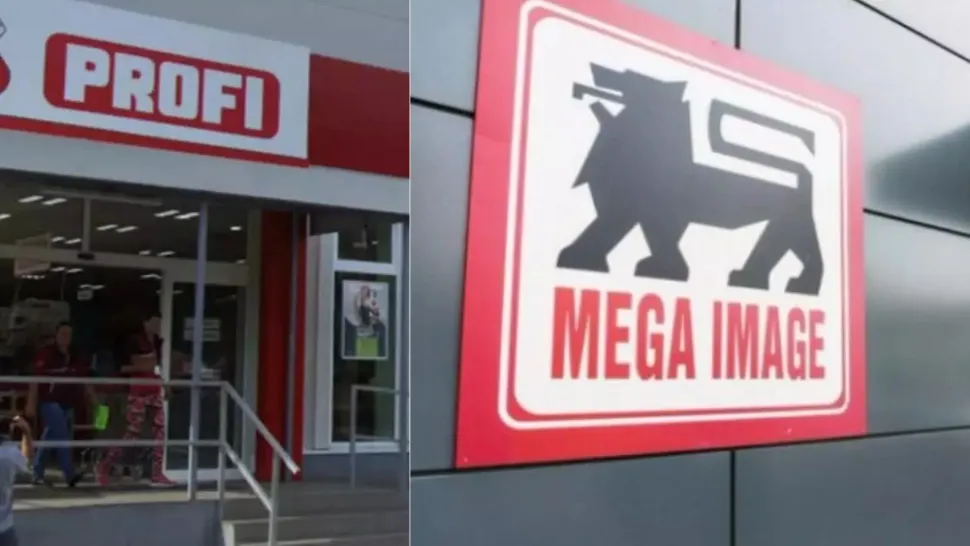 87 de magazine Profi şi Mega Image au fost scoase la vânzare 