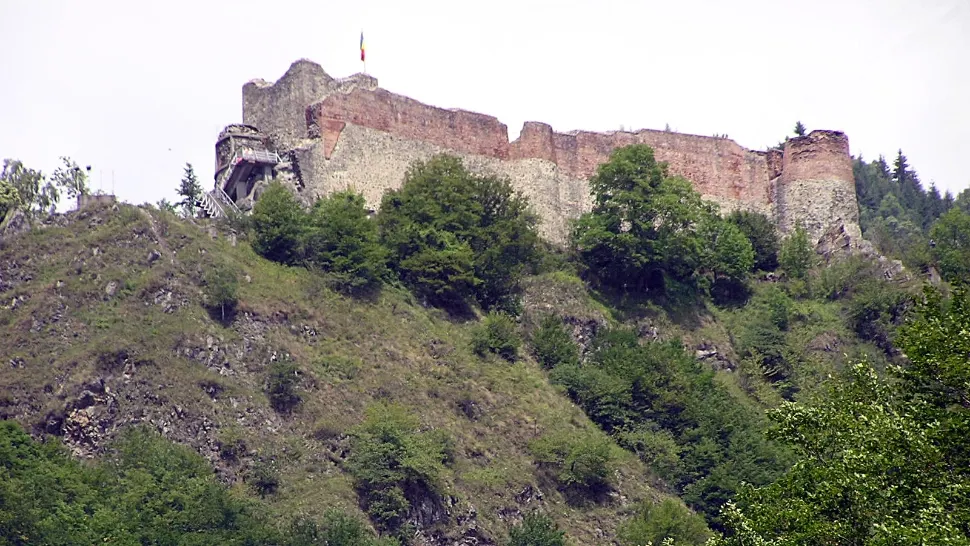 Alertă la Cetatea Poienari! Urșii au rupt gardul electric: accesul turiștilor a fost oprit/ Foto: Wikipedia