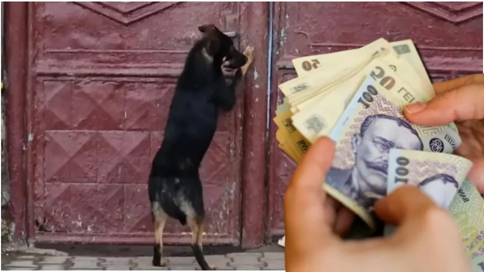 Amenda colosală pe care a primit-o un bătrân din Mureș