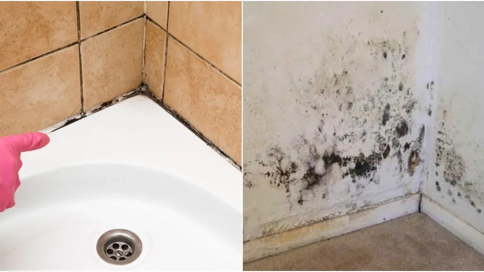Cum scapi de mucegaiul de pe rosturi și pereți