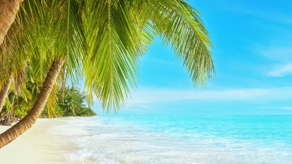 Paradisul tropical care costă doar 30 de euro pe noapte