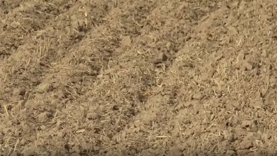 Seceta distruge recoltele. Agricultorii sunt disperați: „Ne este frică să ieșim în câmp să însămânțăm!”