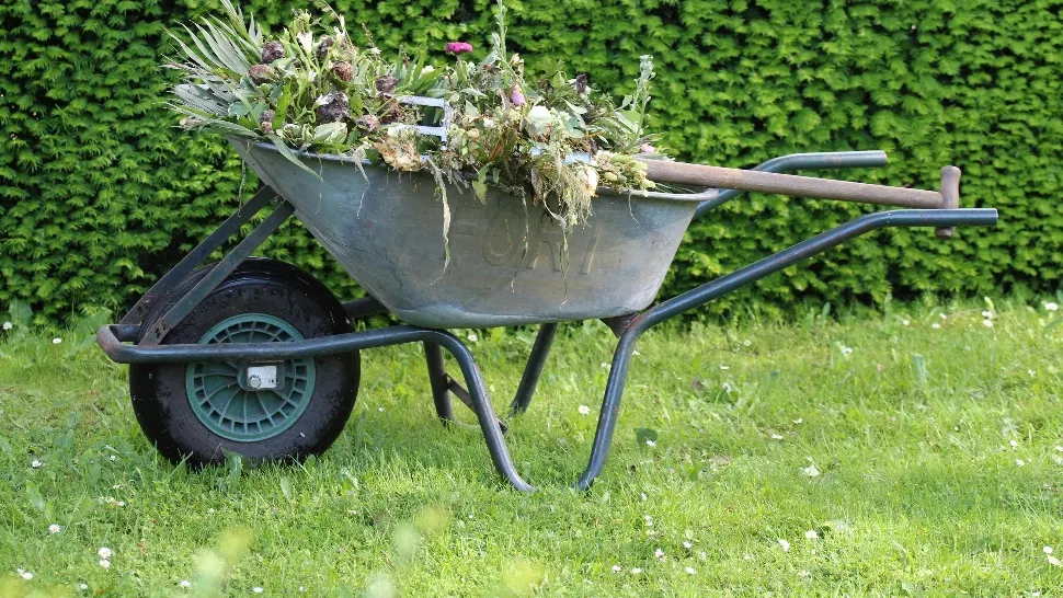 Cum să combați buruienile din grădină. Soluții naturale și la îndemâna oricui