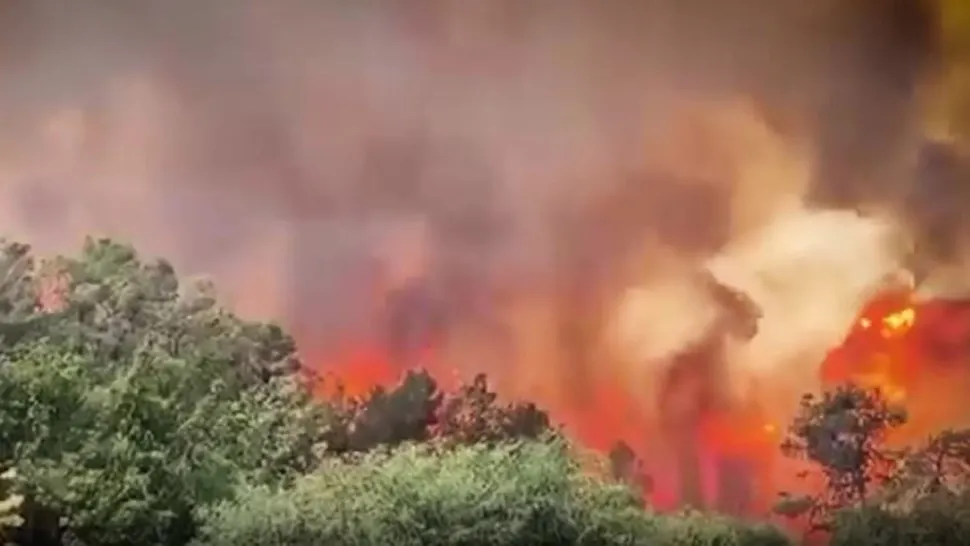 Incendiu devastator: România trimite avioane la Ierusalim