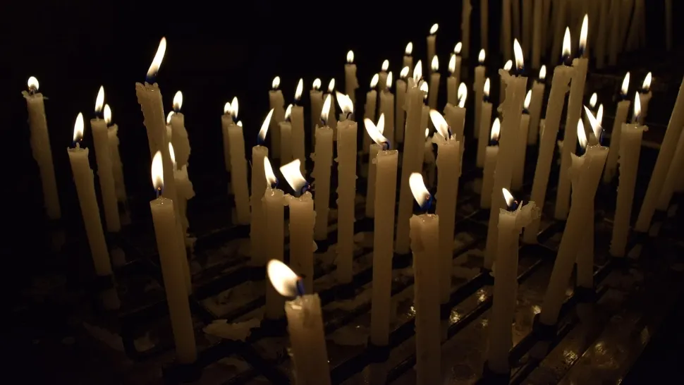 Tragedie neașteptată în lumea afacerilor: un miliardar celebru a MURIT după ce a înghițit o albină