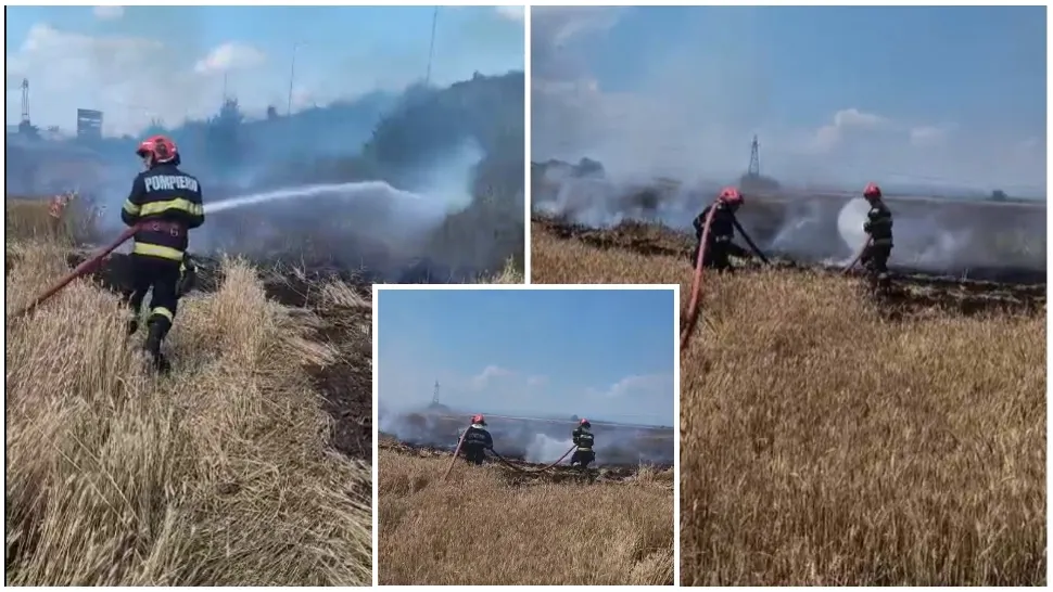 Incendiu de vegetaţie pe marginea DN 1. FOTO: Captură News.ro