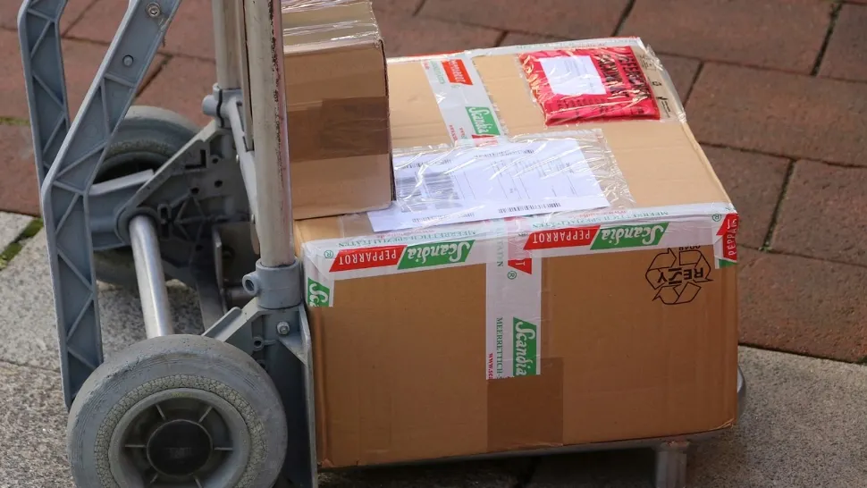 Captură impresionantă la Giurgiu: ce se ascundea într-un colet cu destinația Germania