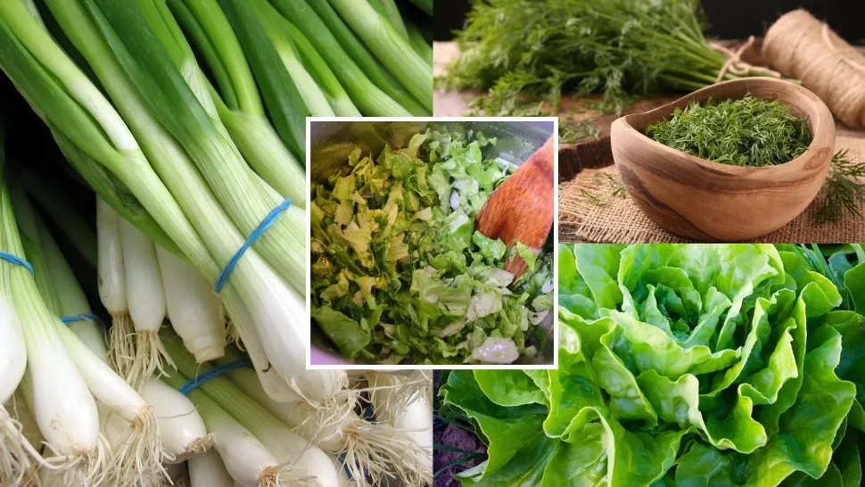 Salată cu ceapă verde și mărar