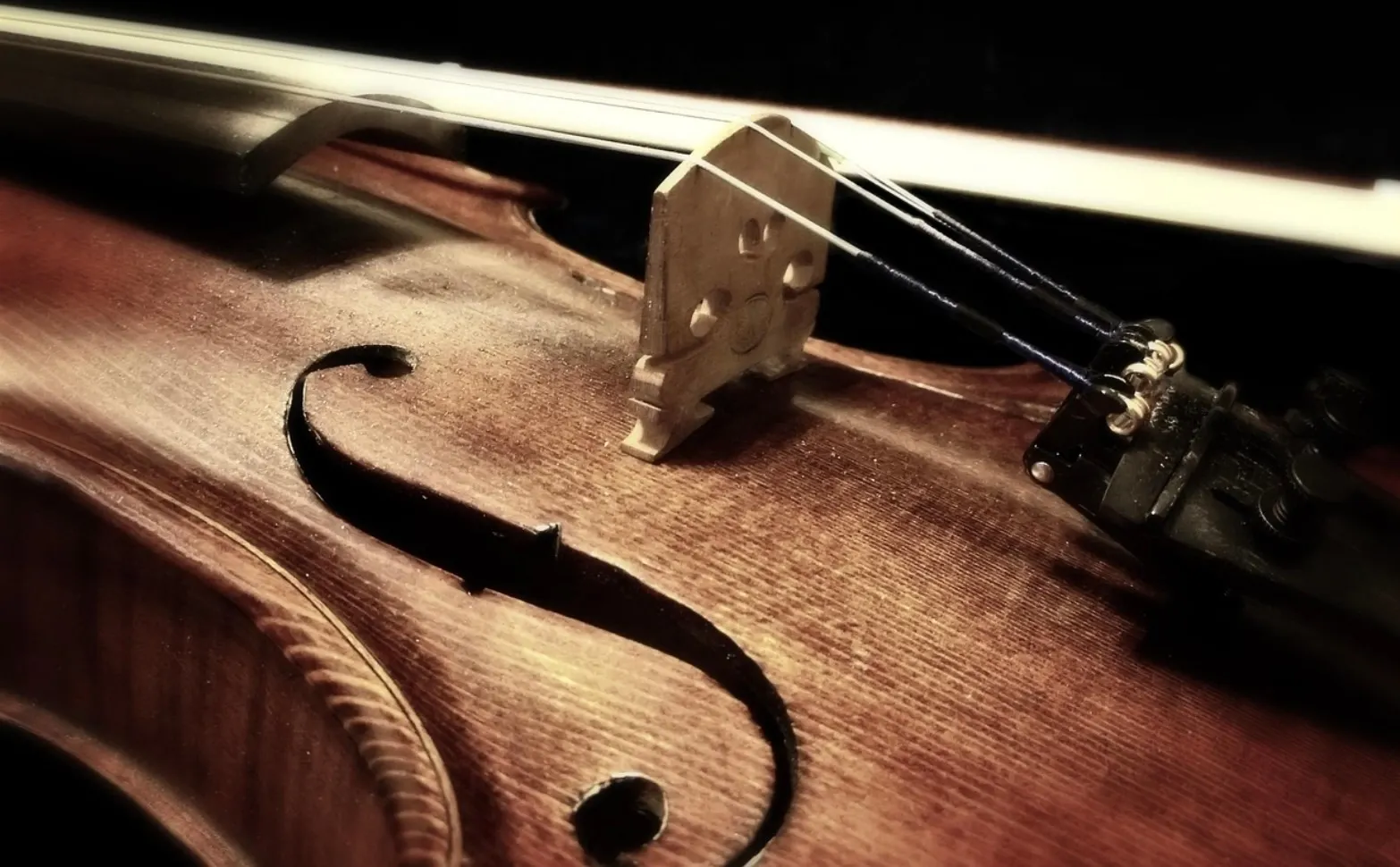 Detalii șocante despre moartea tânărului violonist român lovit de fulger în casă