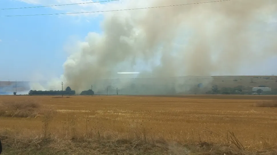 Focul se extinde rapid din cauza căldurii și a vântului (foto: FB/N. Nechitoaea)