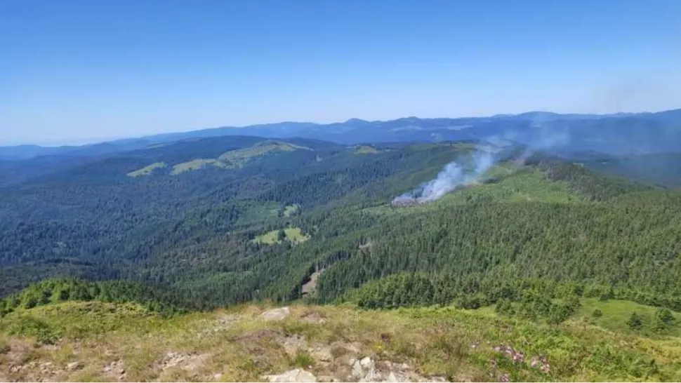 Incendiu masiv într-o fostă exploatare forestieră. FOTO: ISU Buzău