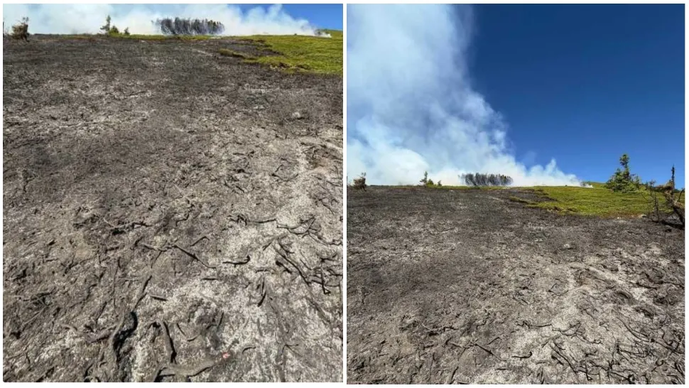 Incendiu puternic într-o pădure din Vâlcea! FOTO: ISU 