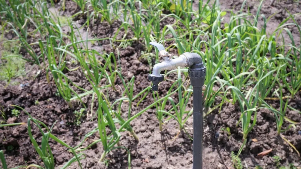 Agricultorii, supăraţi pe minister. Nu vor mai putea să folosească gratuit sistemele de irigaţii. Foto/Profimedia