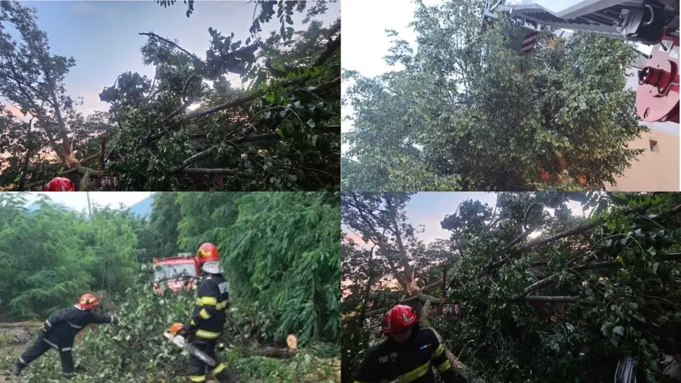 Vântul puternic a făcut părăd în județul Satu Mare. FOTO: ISU Satu Mare
