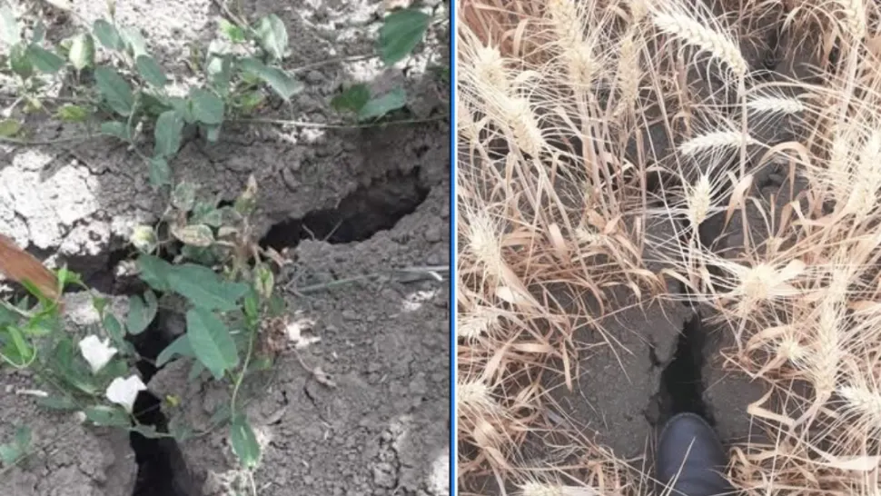 Șefa ANM trage un semnal de alarmă. Seceta pune stăpânire pe România, rezerva de apă din sol scade de la un an la altul
