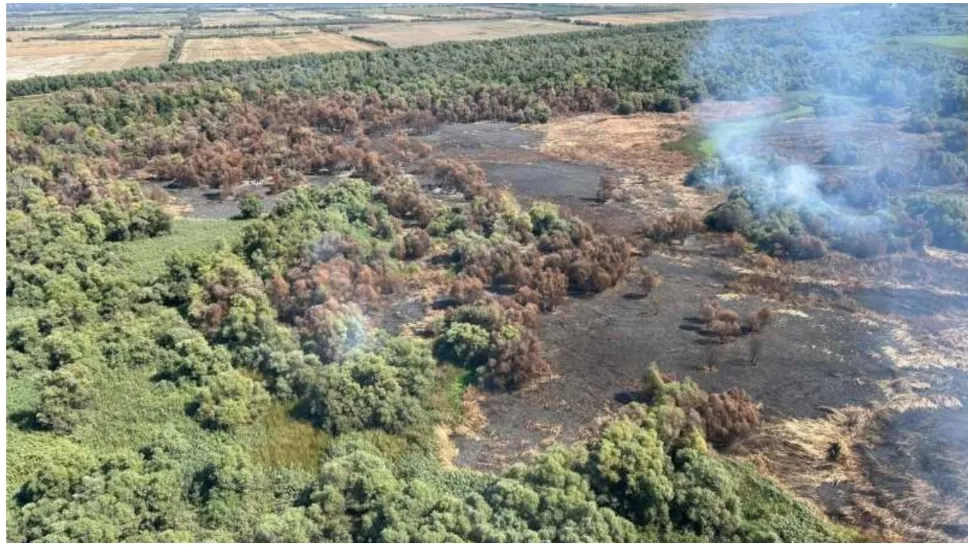 Incendiu de proporții în Delta Dunării. FOTO: ISU