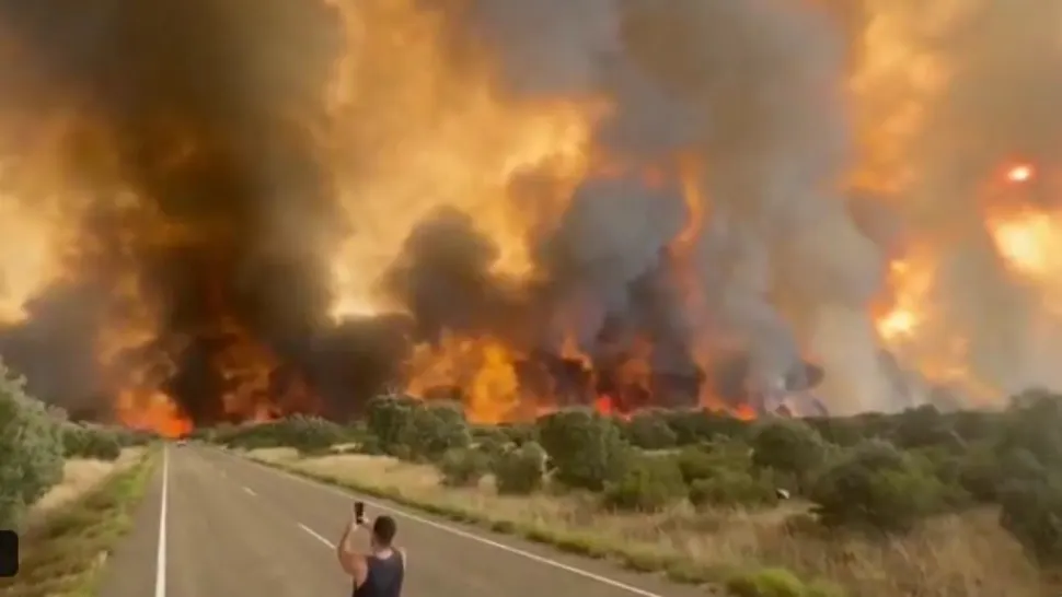 Incendii de vegetație