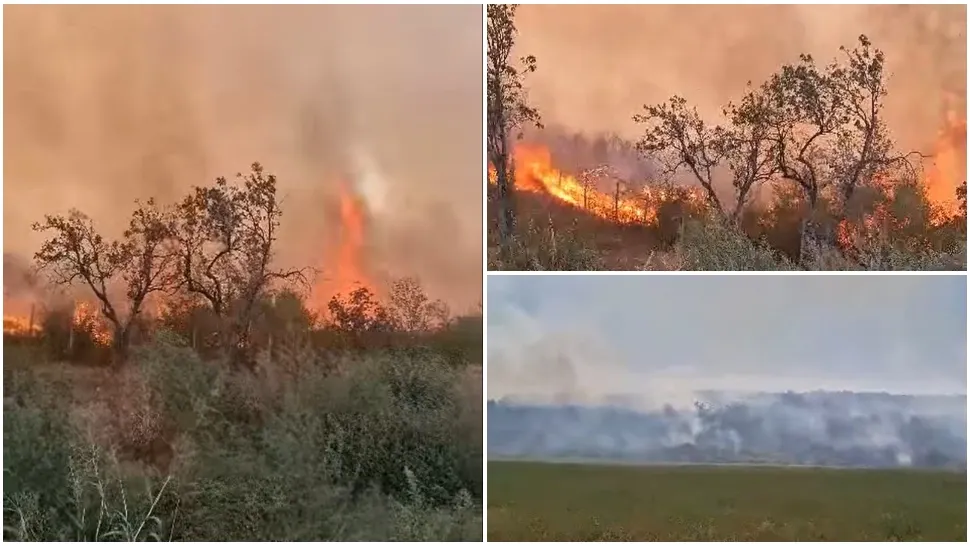 Incendiu puternic de vegetație uscată în Buzău. FOTO: Captura Agerpres