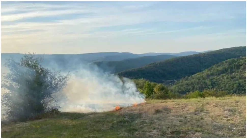 Incendiu masiv de vegetație în județul Vaslui. FOTO: Agerpres